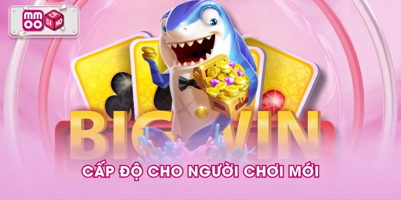 Cấp độ cho người chơi mới